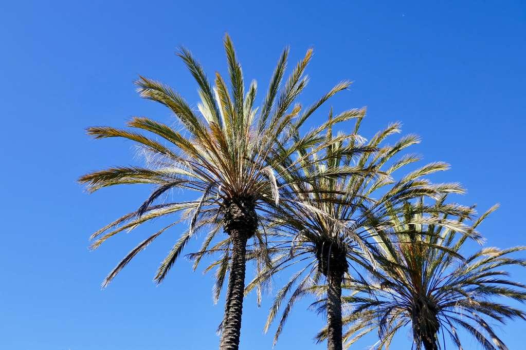 Golden Sails Hotel Long Beach Fasiliteter bilde